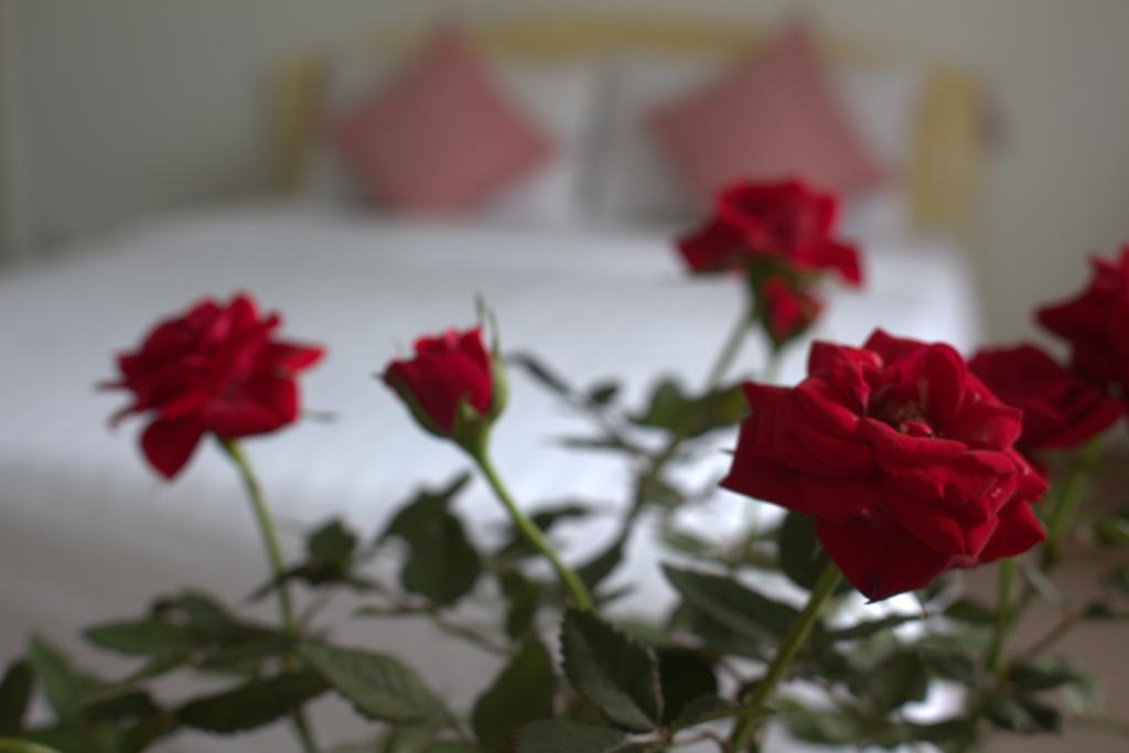 Des Ami Villa Вунгтау Экстерьер фото
